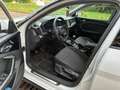 Audi A1 A1 allstreet 30 1.0 tfsi Business 110cv Bianco - thumbnail 13