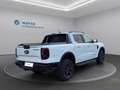 Ford Ranger Doppelkabine Wildtrack e-4WD 2.3 EcoBoost Weiß - thumbnail 6