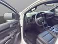 Ford Ranger Doppelkabine Wildtrack e-4WD 2.3 EcoBoost Weiß - thumbnail 10