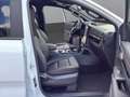 Ford Ranger Doppelkabine Wildtrack e-4WD 2.3 EcoBoost Weiß - thumbnail 17