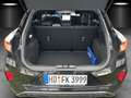 Ford Puma ST Line MHEV NAVI Kamera Winter Paket PDC Noir - thumbnail 13