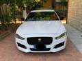 Jaguar XE R sport Bianco - thumbnail 9