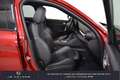 Alfa Romeo Giulia 2.9 V6 510 ch AT8 Quadrifoglio Rot - thumbnail 33