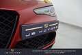 Alfa Romeo Giulia 2.9 V6 510 ch AT8 Quadrifoglio Rot - thumbnail 11