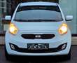 Kia Venga Venga 1,6 CRDi ISG Silber ""NEUES PICKERL""NEUES SERVICE""Top Zustand"" Weiß - thumbnail 2
