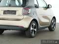 smart forTwo smart fortwo EQ Exclusive Plus+22kW+Pano+Kamera BC Beige - thumbnail 4