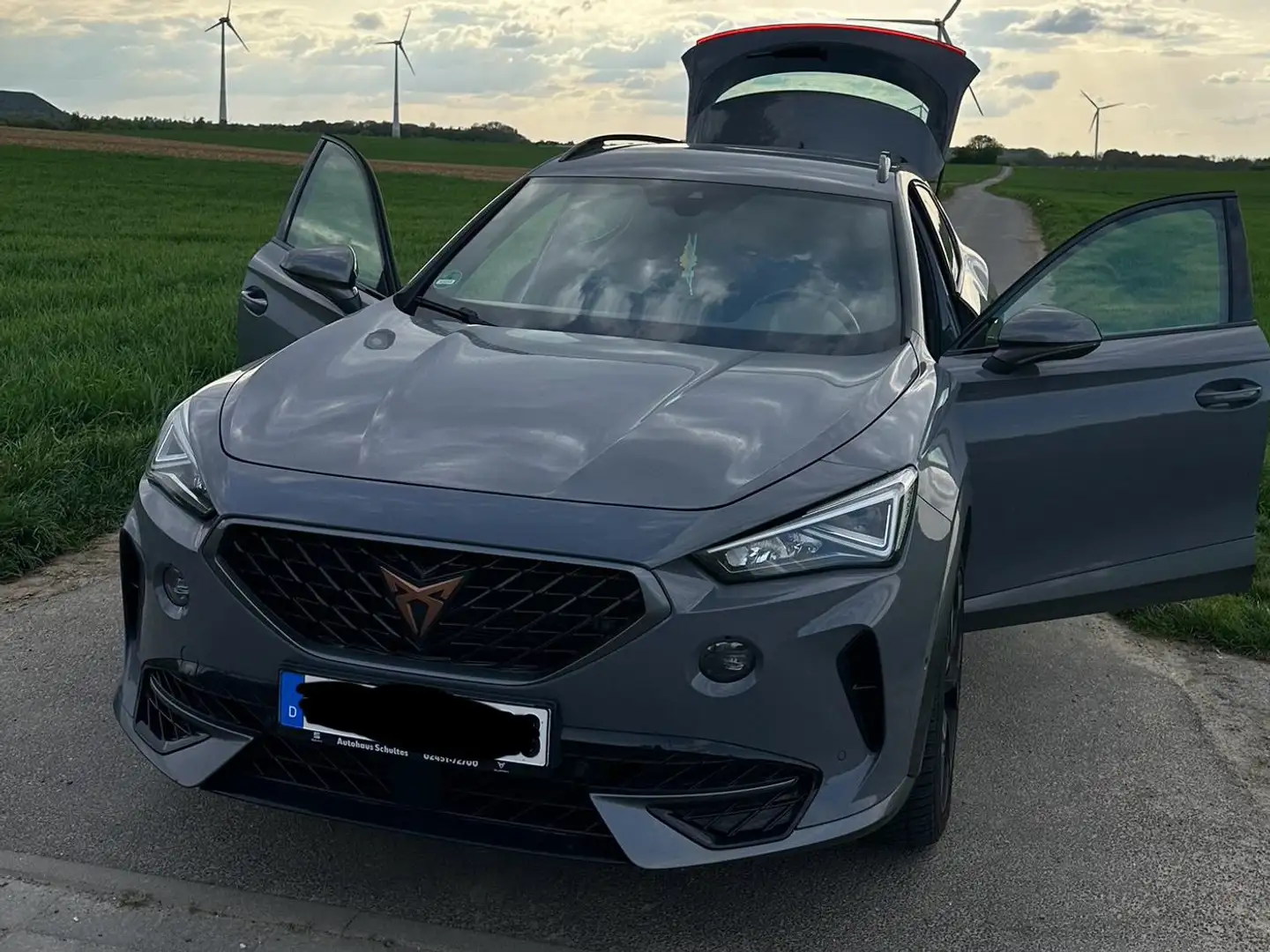CUPRA Formentor Formentor VZ 2.0 TSI 4Drive DSG Szürke - 1