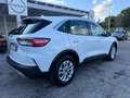 Ford Kuga 1.5 EcoBlue 120 CV aut. 2WD Tit.Bus Blanc - thumbnail 3