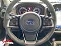 Subaru Crosstrek 2.0ie Platinum Offroad Leder EPH vorn Blau - thumbnail 23