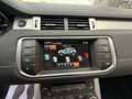 Land Rover Range Rover Evoque 5p 2.2 td4 Dynamic 150cv auto 9m - thumbnail 11