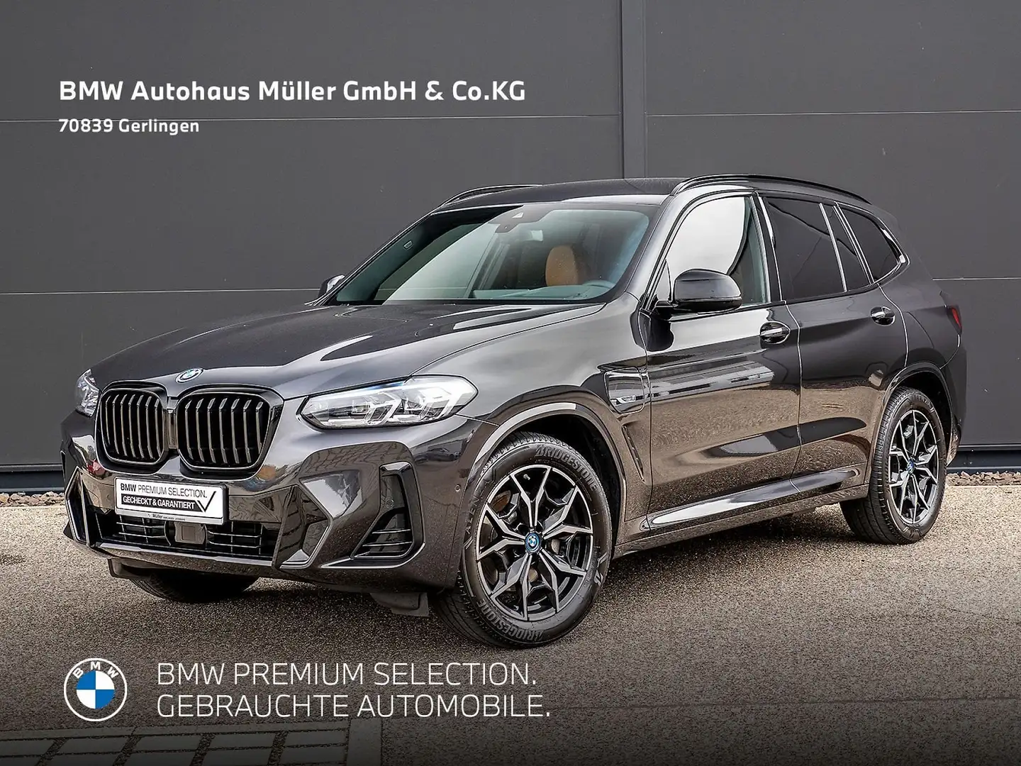 BMW X3 xDrive30e M Sportpaket ACC HiFi HUD Cam 1VB Grau - 2