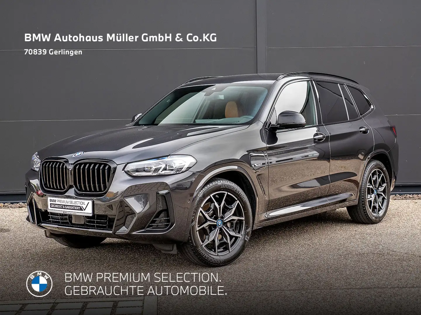 BMW X3 xDrive30eA M Sportpaket ACC HiFi HUD Cam 1VB Grau - 1