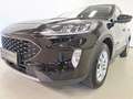 Ford Kuga Cool & Connect 2.0 EcoBlue 4WD Automatik Schwarz - thumbnail 23