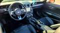 Ford Mustang 2.3 cabriolet modèle facelift 2020 (11/19) Gris - thumbnail 5