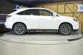 Lexus RX 450h Hybrid F Sport Blanco - thumbnail 22