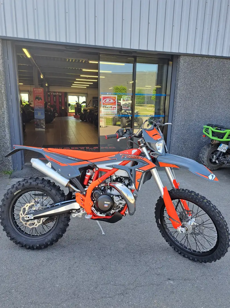 Beta Xtrainer 300 Gris - 1