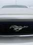 Ford Mustang Mustang undefined Grijs - thumbnail 4