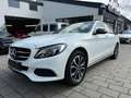 Mercedes-Benz C 220 C 220 T d 4Matic 9G Panorama*Kamera Blanc - thumbnail 6