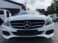 Mercedes-Benz C 220 C 220 T d 4Matic 9G Panorama*Kamera Blanc - thumbnail 2