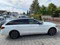Mercedes-Benz C 220 C 220 T d 4Matic 9G Panorama*Kamera Blanc - thumbnail 3