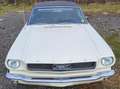 Ford Mustang Richtig schöner Ford Mustang, V8 Бежевий - thumbnail 10