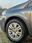 Fiat Punto Evo 5p 1.2 8V 5 porte Easy - thumbnail 12