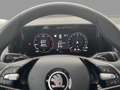 Skoda Kodiaq 2.0TDI DSG 4x4 Selection NAVI AHK MATRIX- Braun - thumbnail 8