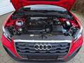 Audi Q2 35 TFSI Admired S tronic Leder, Navi, LED, AHV Rot - thumbnail 4