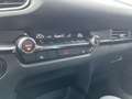 Mazda CX-30 | elektr. Heckklappe | Alexa | adapt. Tempomat Grigio - thumbnail 13