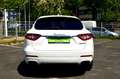 Maserati Levante 3.0 V6 4x4 *HARMANN-KARDON*UNFALLFREI* Weiß - thumbnail 4