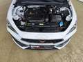 CUPRA Leon ST 1.5 eTSI DSG LED|virt.Cock.|ACC|RFK Weiß - thumbnail 25