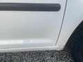 Volkswagen Caddy Kombi 2,0 SDI+kasten wagen +VERKAUFEN EXPORT Bílá - thumbnail 9
