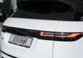 Land Rover Range Rover Evoque D200 R-Dynamic SE Navi Leder ACC Kamera Weiß - thumbnail 7
