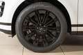 Land Rover Range Rover Evoque D200 R-Dynamic SE Navi Leder ACC Kamera Weiß - thumbnail 10