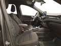 Ford Kuga 2,0 EcoBlue Hybrid ST-Line Aut. Gris - thumbnail 16