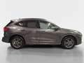 Ford Kuga 2,0 EcoBlue Hybrid ST-Line Aut. Gris - thumbnail 8