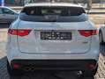 Jaguar F-Pace F-PACE R-Sport AWD 4x4 Sitzh. MOTOR NEU!!! Blanc - thumbnail 6