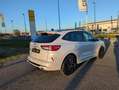 Ford Kuga Kuga 1.5 ecoblue ST-Line 120cv auto +TETTO P. Bianco - thumbnail 4