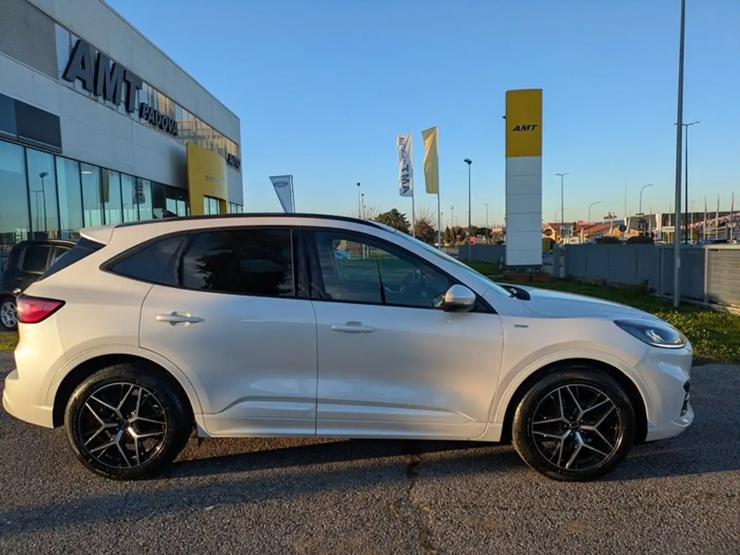 Ford Kuga Kuga 1.5 ecoblue ST-Line 120cv auto +TETTO P. Bianco - 1