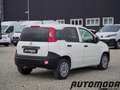 Fiat Panda VAN 1.2 69CV 2Posti Bianco - thumbnail 4