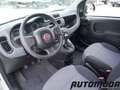 Fiat Panda VAN 1.2 69CV 2Posti Bianco - thumbnail 9