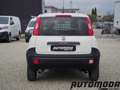Fiat Panda VAN 1.2 69CV 2Posti Bianco - thumbnail 5