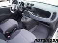 Fiat Panda VAN 1.2 69CV 2Posti Bianco - thumbnail 11
