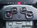 Fiat Panda VAN 1.2 69CV 2Posti Bianco - thumbnail 15