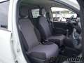 Fiat Panda VAN 1.2 69CV 2Posti Bianco - thumbnail 10