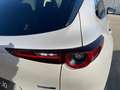 Mazda CX-30 e-Skyactive G140 Homura - thumbnail 11