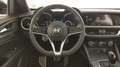 Alfa Romeo Stelvio 2.2 TURBODIESEL 210 CV AT8 Q4 B-TECH Grau - thumbnail 17