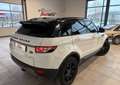 Land Rover Range Rover Evoque 2.2 SD4 4WD 190cv DYNAMIC-2011 Blanc - thumbnail 4