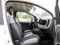 Fiat Panda EU6d 1.0 Mild Hybrid City Plus DAB+ Weiß - thumbnail 3