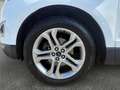 Ford Edge 2.0 TDCI 154kW Titanium 4WD Pow Blanco - thumbnail 9
